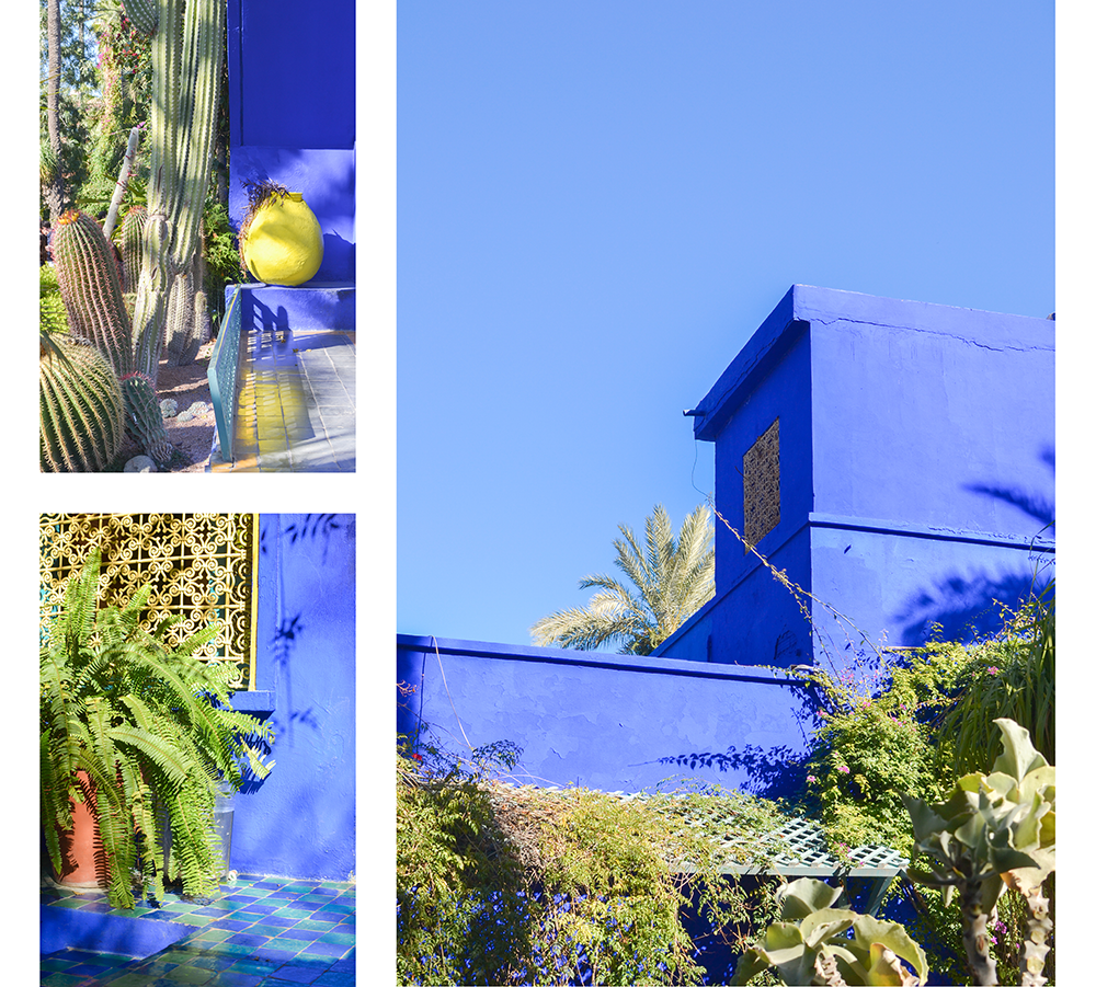 Marrakech Jardin bleu Majorelle
